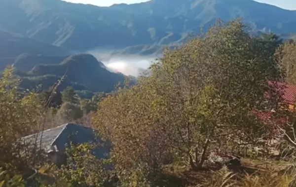 Hatay'da orman yangını: Havadan ve karadan müdahale