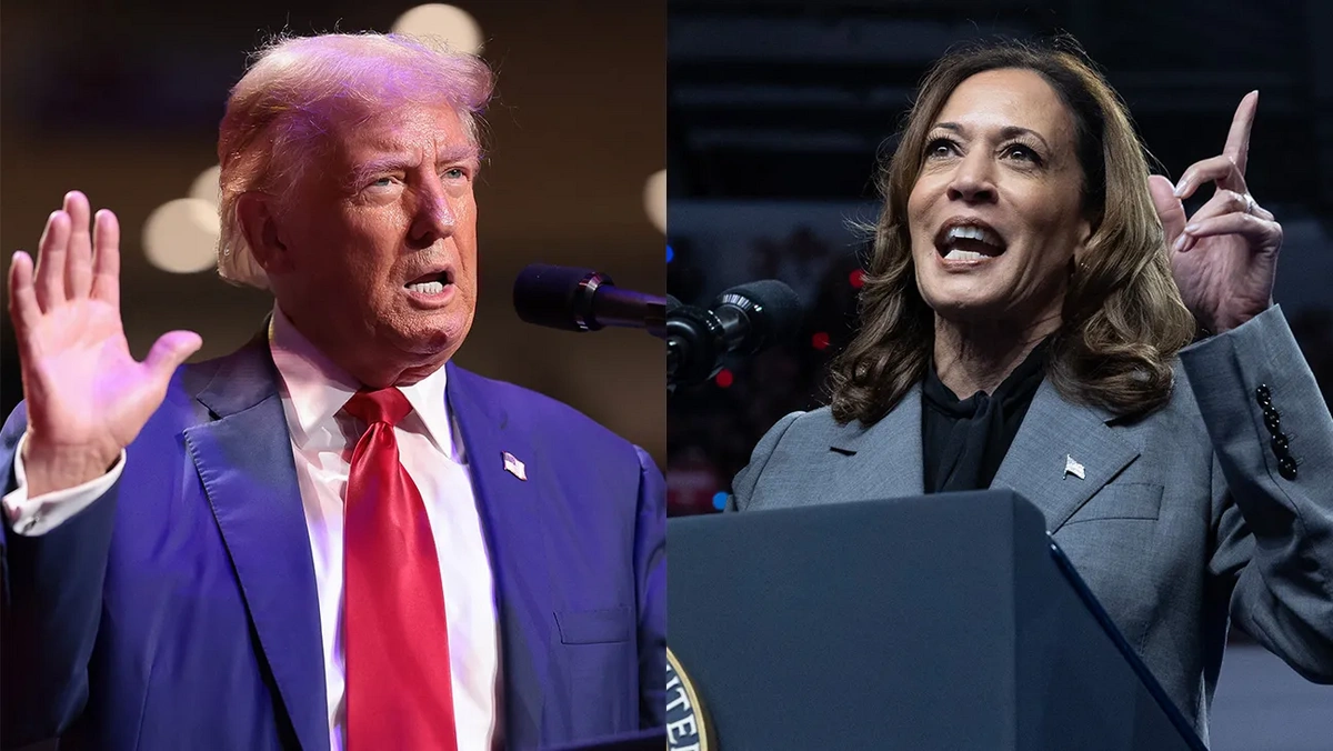 Son anketler ne diyor? Trump mı, Harris mi?