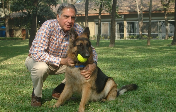 Hindistanlı iş adamı sevimli köpeğine milyonlarca dolar miras bıraktı