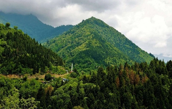 Çanakkale'de ormanlara giriş yasağı uzatıldı