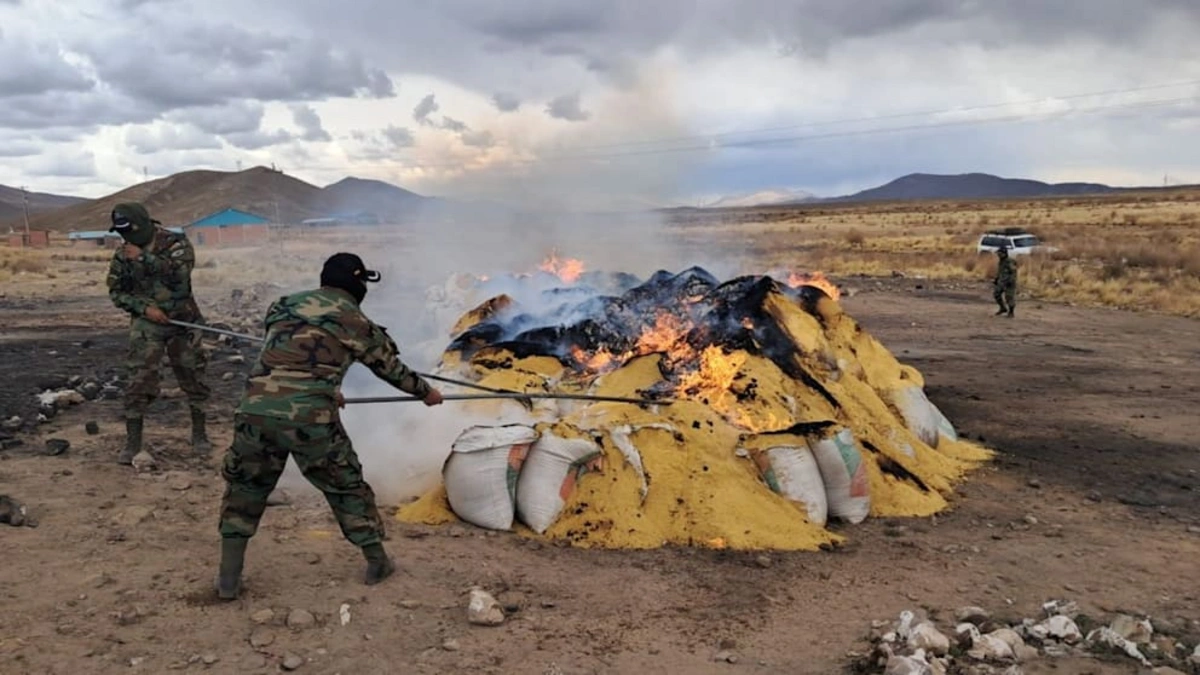 Boliviyada iki milyard avro dəyərində kokain yandırıldı