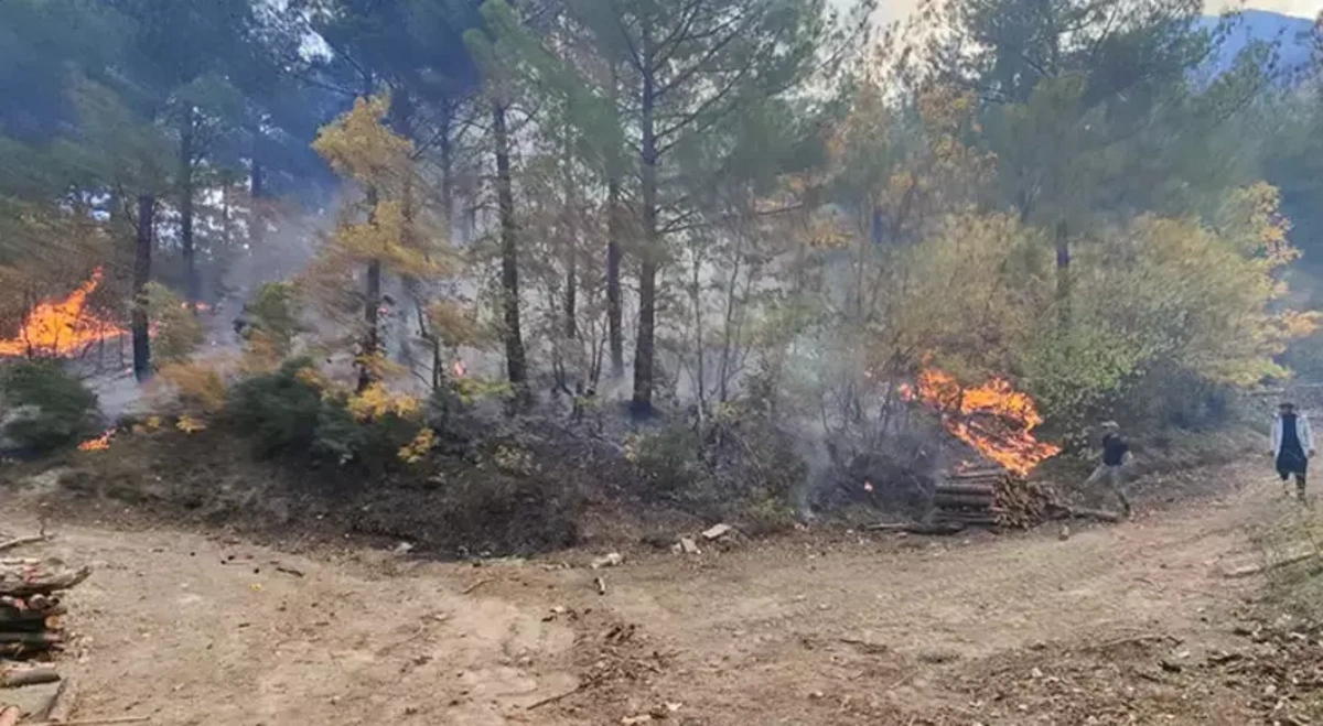 Osmaniye'de orman yangını: Müdahale sürüyor