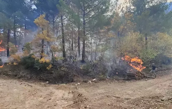 Osmaniye'de orman yangını: Müdahale sürüyor