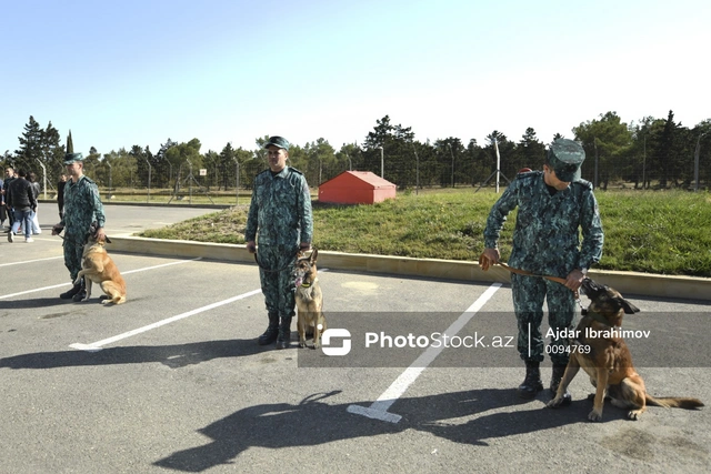 Обнародована общая стоимость контрабанды, изъятой ГПС