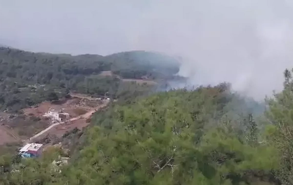 Hatay'da orman yangını: Müdahale sürüyor