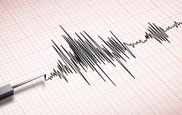 В Новой Зеландии произошло землетрясение магнитудой 4.9