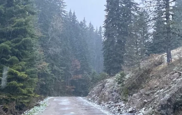 Karabük'te kar yağışı etkili oldu