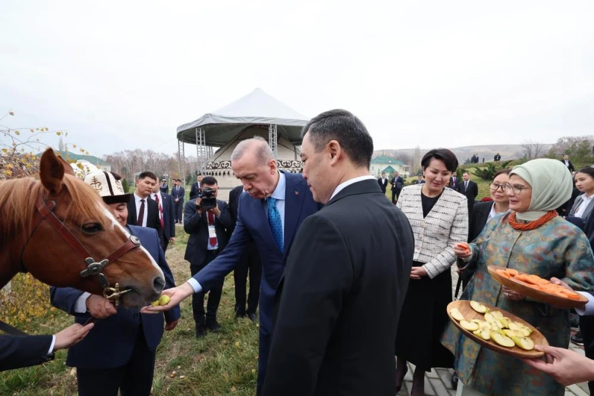 Sadır Caparov, Cumhurbaşkanı Erdoğan'a at hediye etti