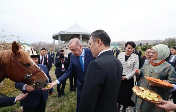 Sadır Caparov, Cumhurbaşkanı Erdoğan'a at hediye etti