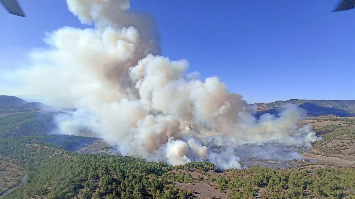 Bursa'nın iki ilçesinde orman yangını: Ekipler seferber oldu