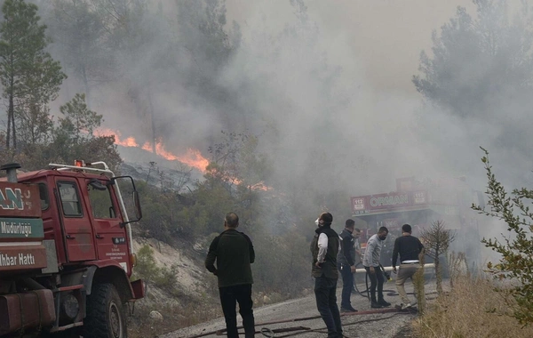 Balıkesir'deki yangın söndürüldü, Bursa'da mücadele devam ediyor