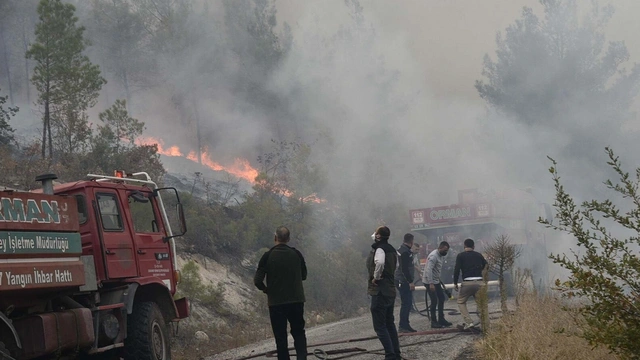 Balıkesir'deki yangın söndürüldü, Bursa'da mücadele devam ediyor