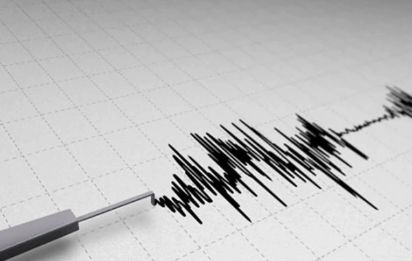 Şili'de 6.3 büyüklüğünde deprem meydana geldi