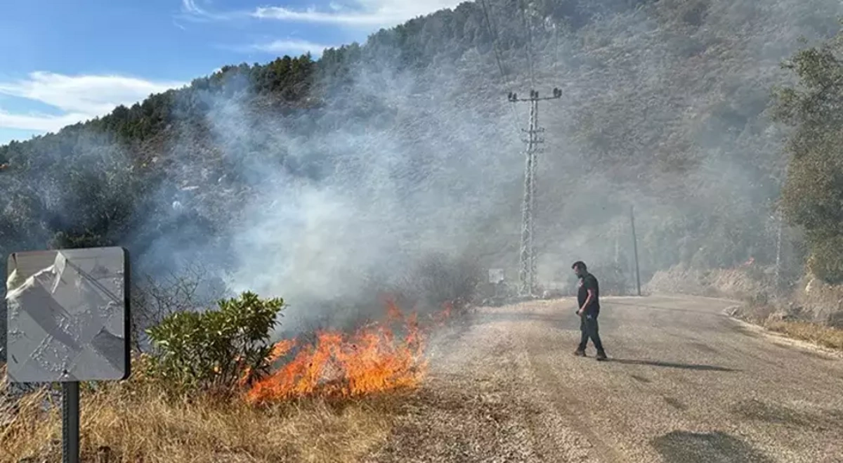 Antalya'da orman yangını: Müdahale sürüyor