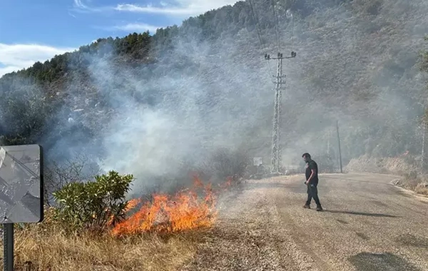 Antalya'da orman yangını: Müdahale sürüyor