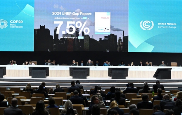 COP29 Liderler Zirvesi, açılış töreninin ardından çalışmalarına birinci genel oturumla devam etti