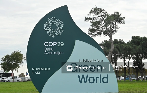 На COP29 проходит акция против колониализма