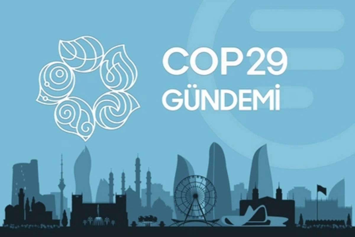 COP29 Gündemi - 12.11.2024