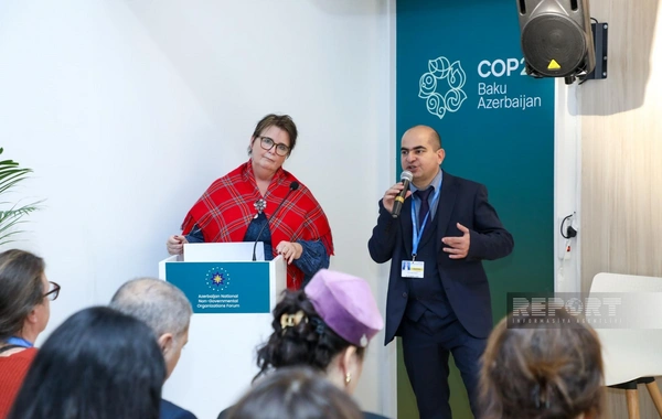 COP29 çərçivəsində Ermənistanın Cənubi Qafqazın ekologiyasını zəhərləməsi barədə müzakirə keçirilib