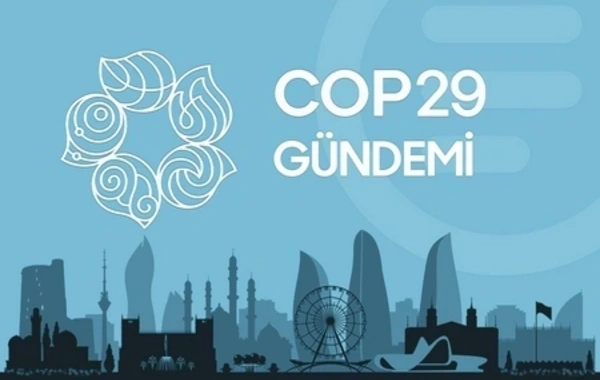 COP29 Gündemi - 14.11.2024