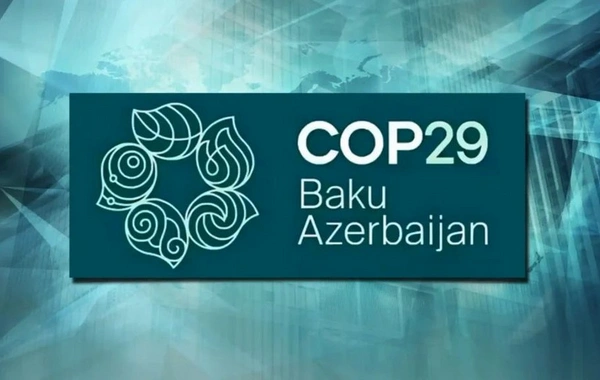 На COP29 прошла акция против колониальной политики Нидерландов и Франции