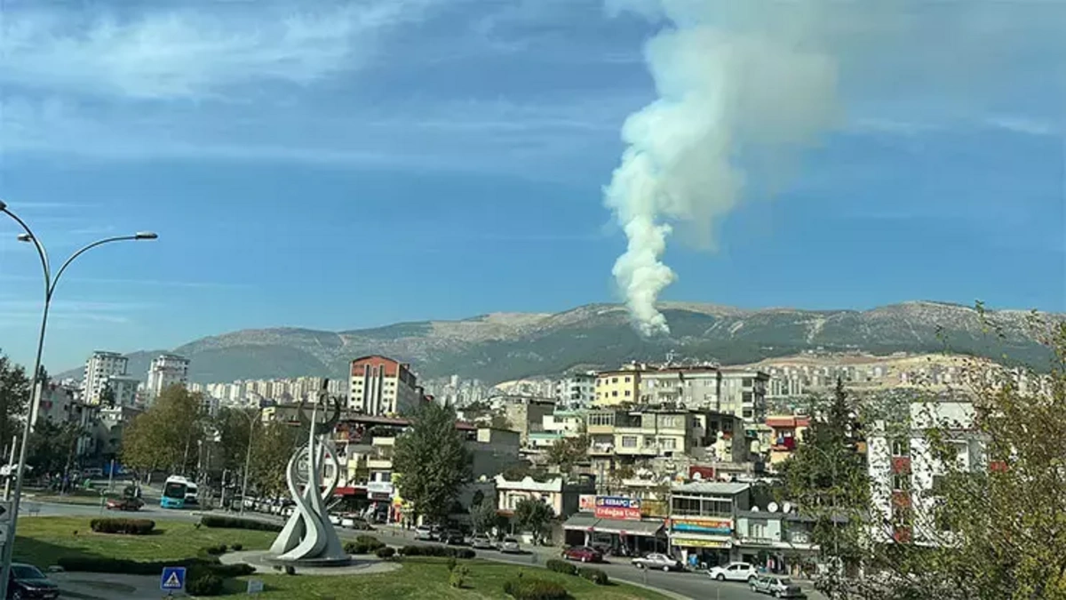 Kahramanmaraş'ta orman yangını