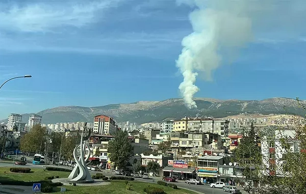 Kahramanmaraş'ta orman yangını