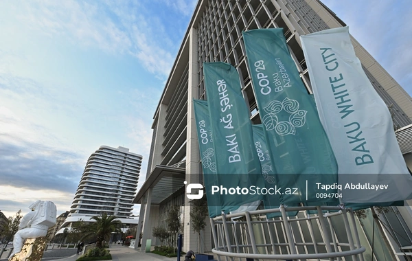 Ренсон Мулеле Ингонган: Я ожидаю дискуссий высокого уровня на COP29