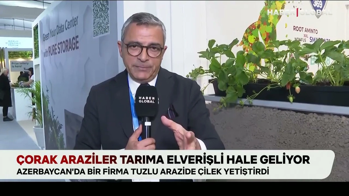 Haber Global: "Azerbaycan şirketi tuzlu toprakları canlandırıyor"