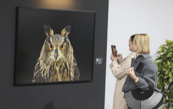 COP29-da Bred Uilsonun "Digər dünya" fotosərgisi nümayiş olunur