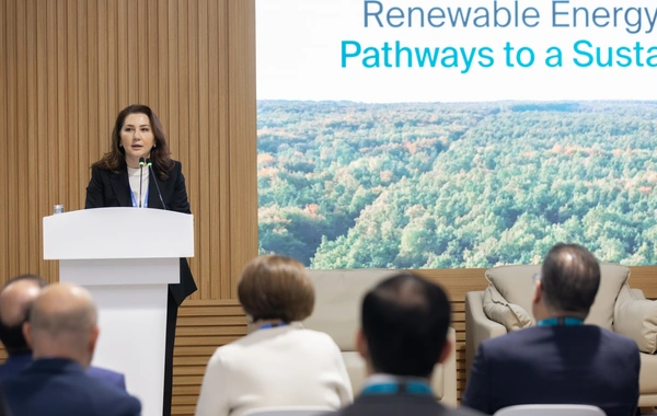 Azerbaijan Green Energy Company организовала панельную дискуссию на COP29