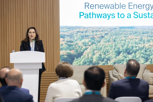 Azerbaijan Green Energy Company организовала панельную дискуссию на COP29