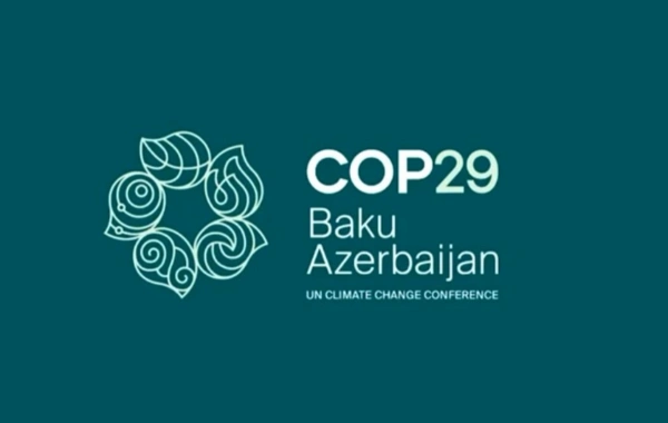 COP29 çərçivəsində Azərbaycan pavilyonunda "İqlim üçün mədəniyyət" adlı tədbir keçirilib