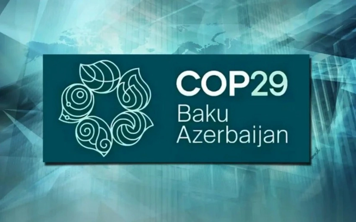 COP29-un Mavi Zonasında yüksəksəviyyəli panel iclası keçirilir