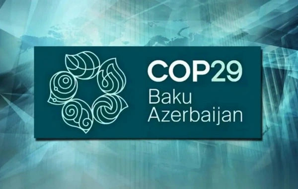 COP29: на высоком уровне обсуждается глобальное сотрудничество для решения проблемы миграции