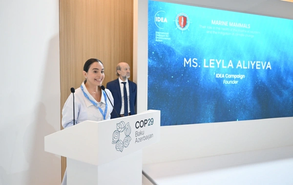 Leyla Aliyeva, COP29 kapsamında deniz canlıları konulu panel müzakerelere katıldı