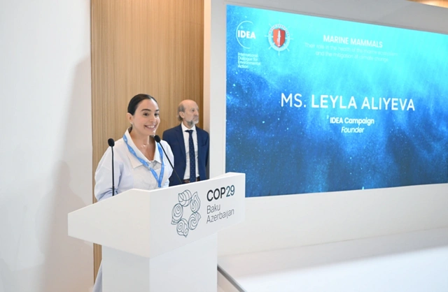 Leyla Aliyeva, COP29 kapsamında deniz canlıları konulu panel müzakerelere katıldı