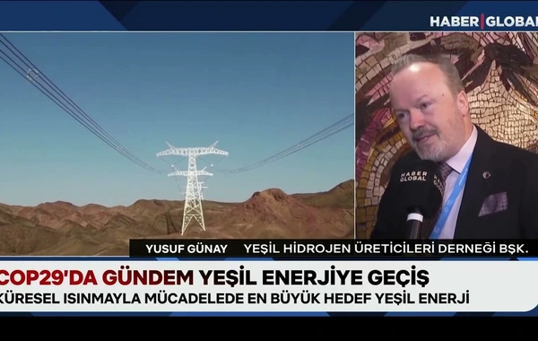 Haber Global: Dünya hızla yeşil enerjiye geçmeye çalışıyor