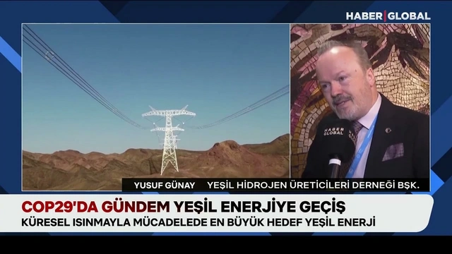 Haber Global: Dünya hızla yeşil enerjiye geçmeye çalışıyor