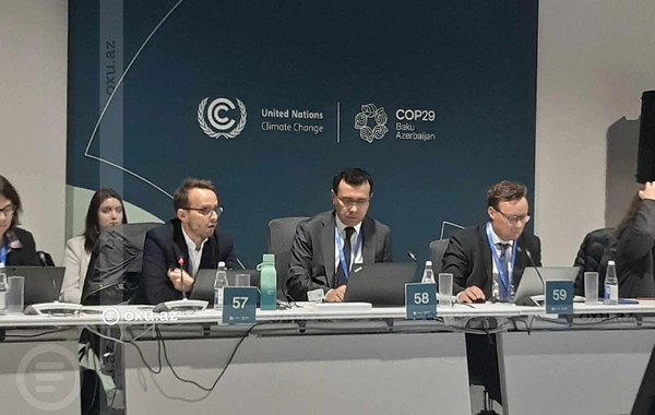 COP29 çərçivəsində iqlim problemlərində su həlləri ilə bağlı dəyirmi masa keçirilir