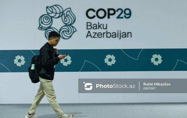 COP29-un 10-cu günündə gündəmdə olan müzakirələr