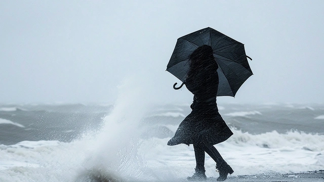 Türkiye AFAD Başkanı Memiş'ten meteorolojik uyarı: Çok önemsiyoruz