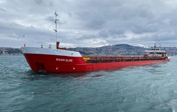 İstanbul Boğazı'nda sürüklenen gemi kıyıya çarpmaktan son anda kurtuldu