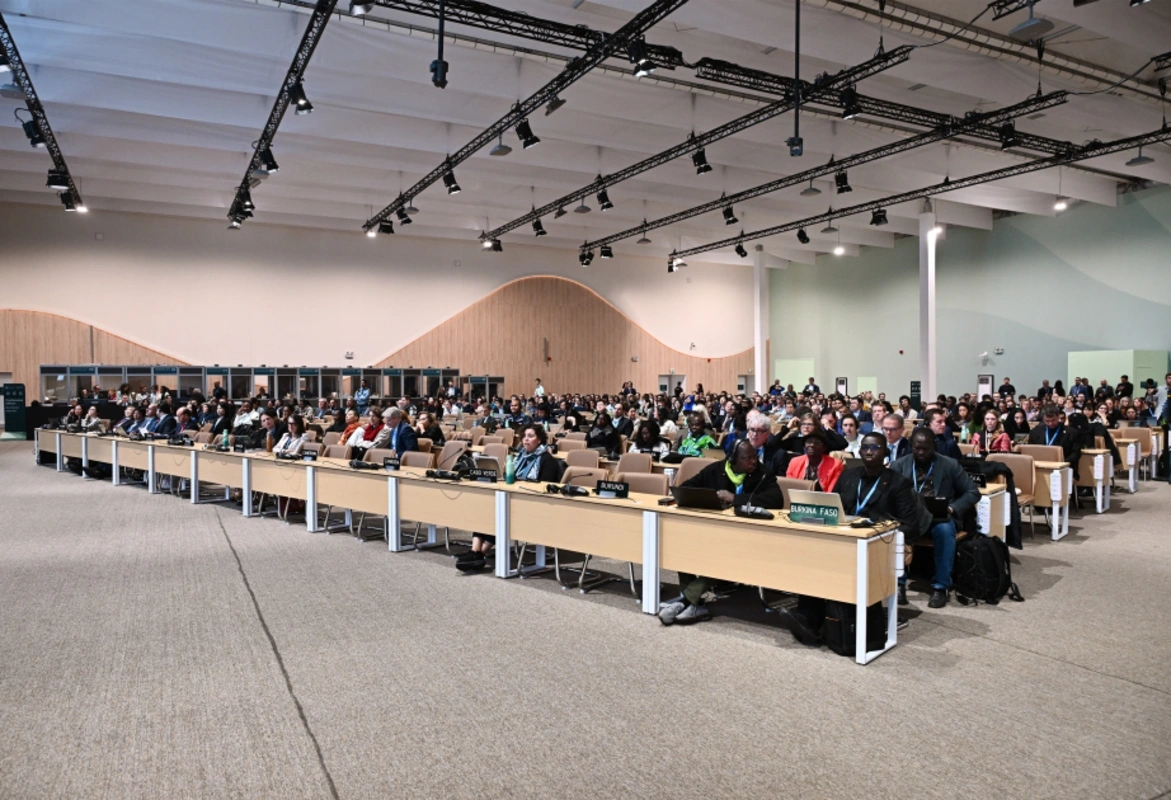 COP29'un nihai kararlarından birinde Bakü Küresel İklim Şeffaflığı Platformu yer aldı