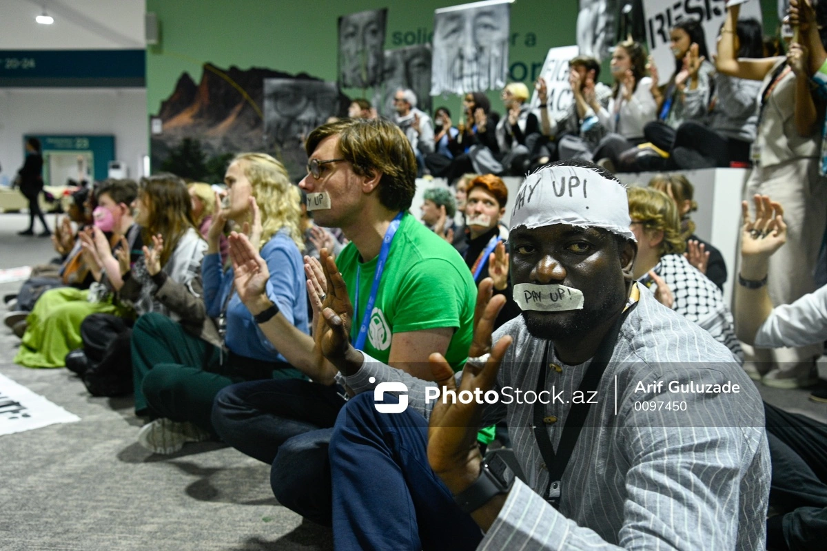 Климатические активисты провели акцию на COP29