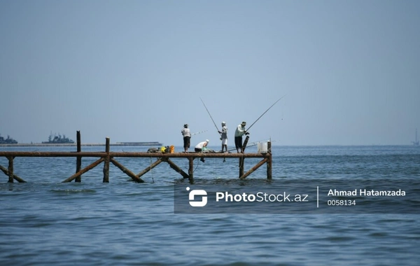 Каспийское море мелеет: климатические вызовы и тектонические причины