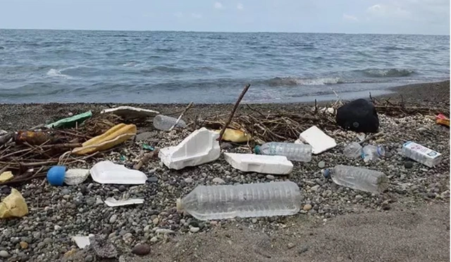 Karadeniz'de rastlanmayan örnek kalmadı: Bilim insanları endişeli