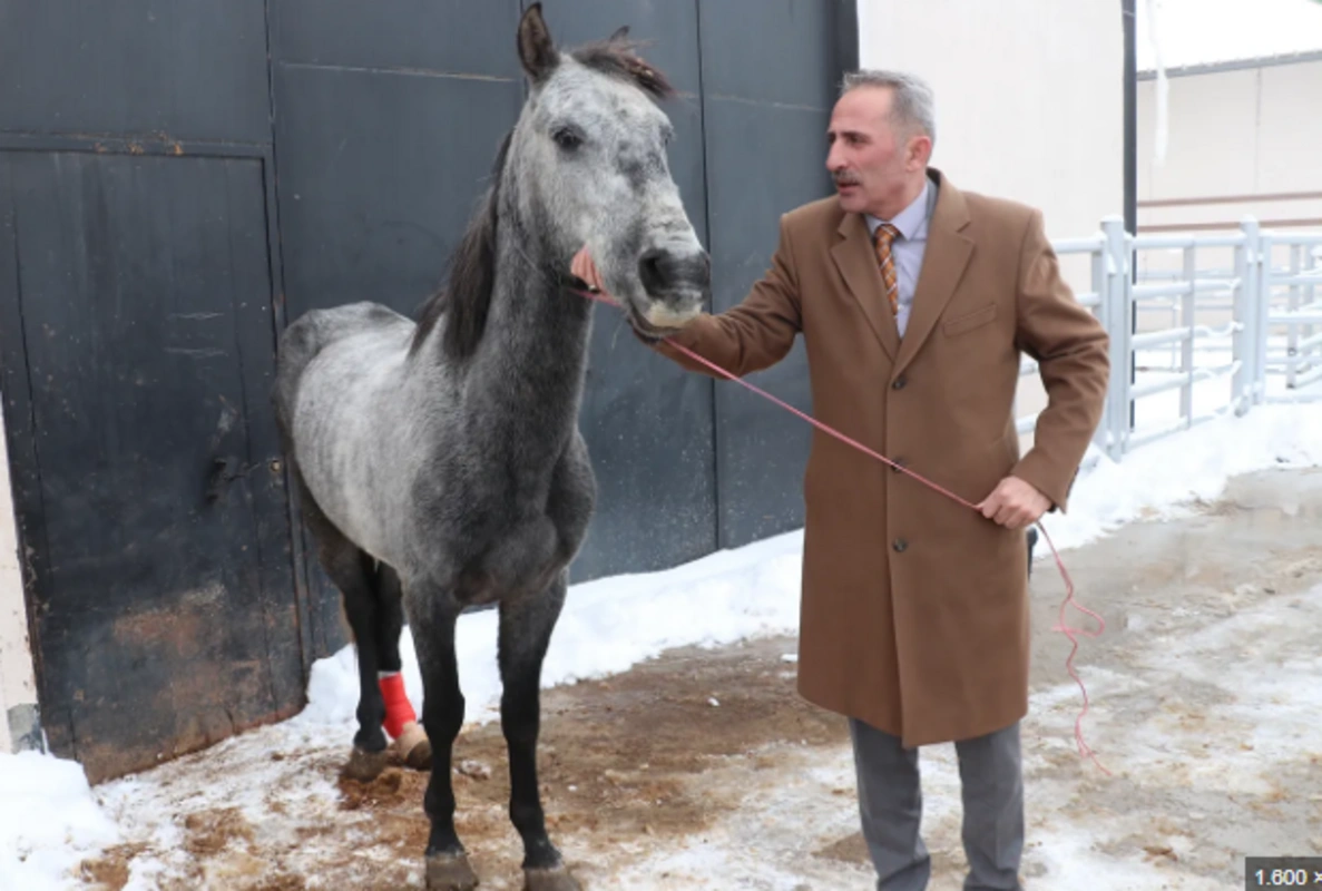 Sosyal medyada yayılan "Donmuş At" görüntülerinin ardındaki gerçek