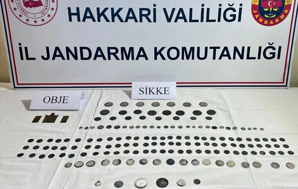 Hakkari'de tarihi eser operasyonu