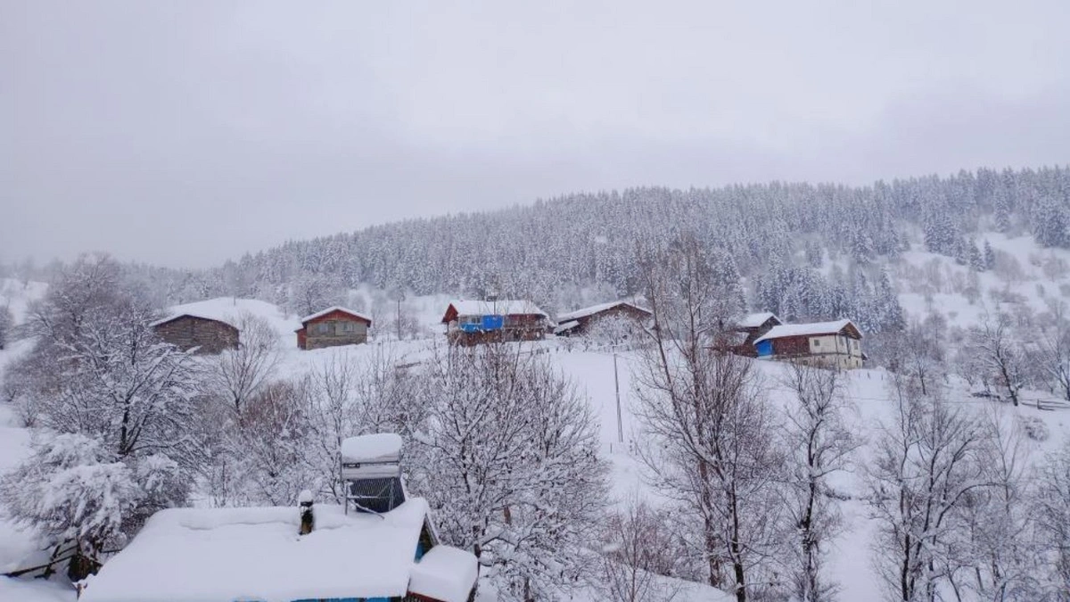 Artvin'de evler kara gömüldü: Köylülerin tek işi çatı temizlemek oldu